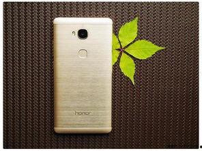 999国产,揭秘神秘国度的奇幻之旅